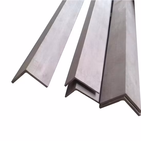 316 Stainless Steel Equal Angle 20X2 Size Profile