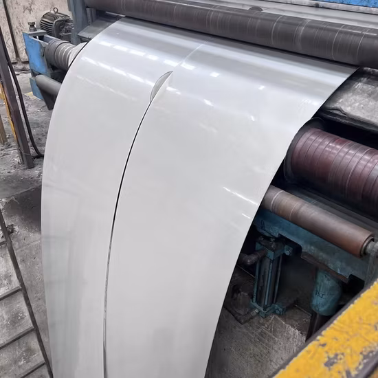 304/301/316L/201/202/Ta1/Gh625/Gh4169/Gh141 tira de aço inoxidável